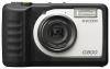 Ricoh G800