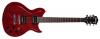 Washburn WI65PRO