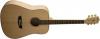 Washburn WD45S KIT
